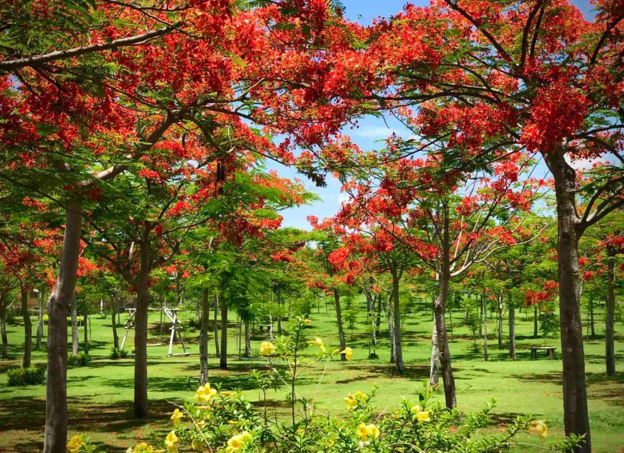 Ttc Resort - Doc Let Ninh Hoa Exterior foto